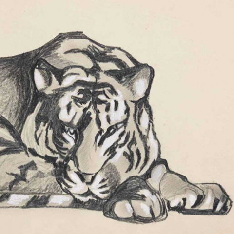Tigre couché, 1923.